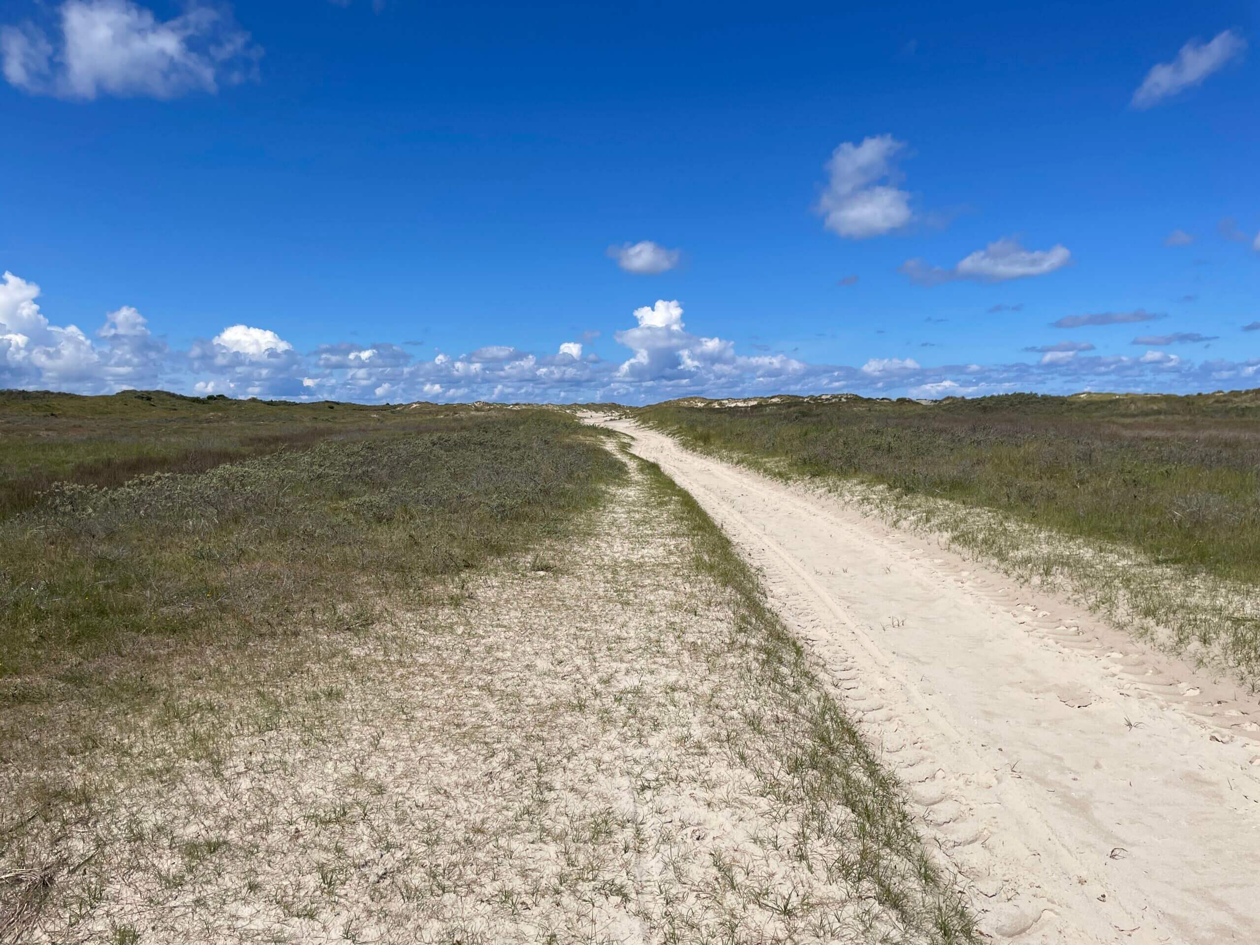 Sandiger Weg durch offene Dünenlandschaft unter blauem Himmel