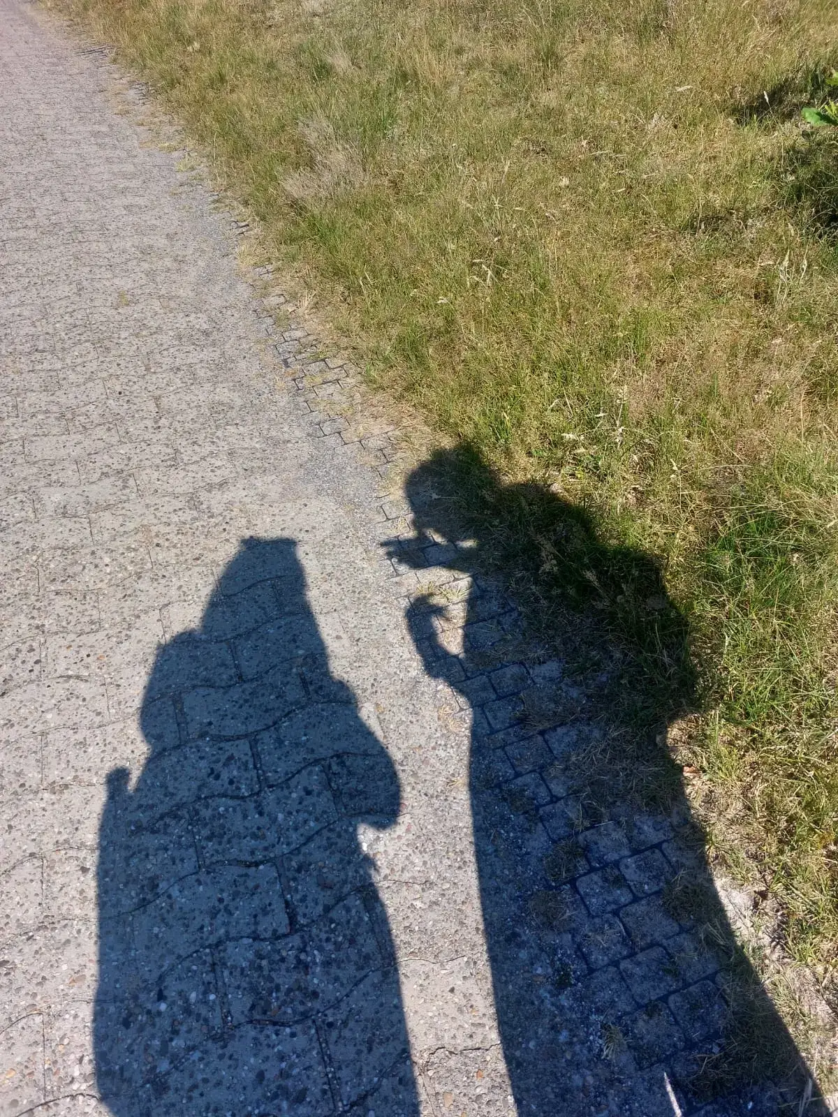 Schattenwurf zweier Personen auf Kiesweg zwischen Wiesen