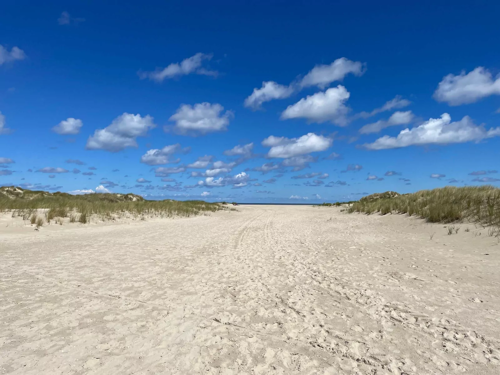 Weiter Sandstrand mit Dünen und blauem Himmel