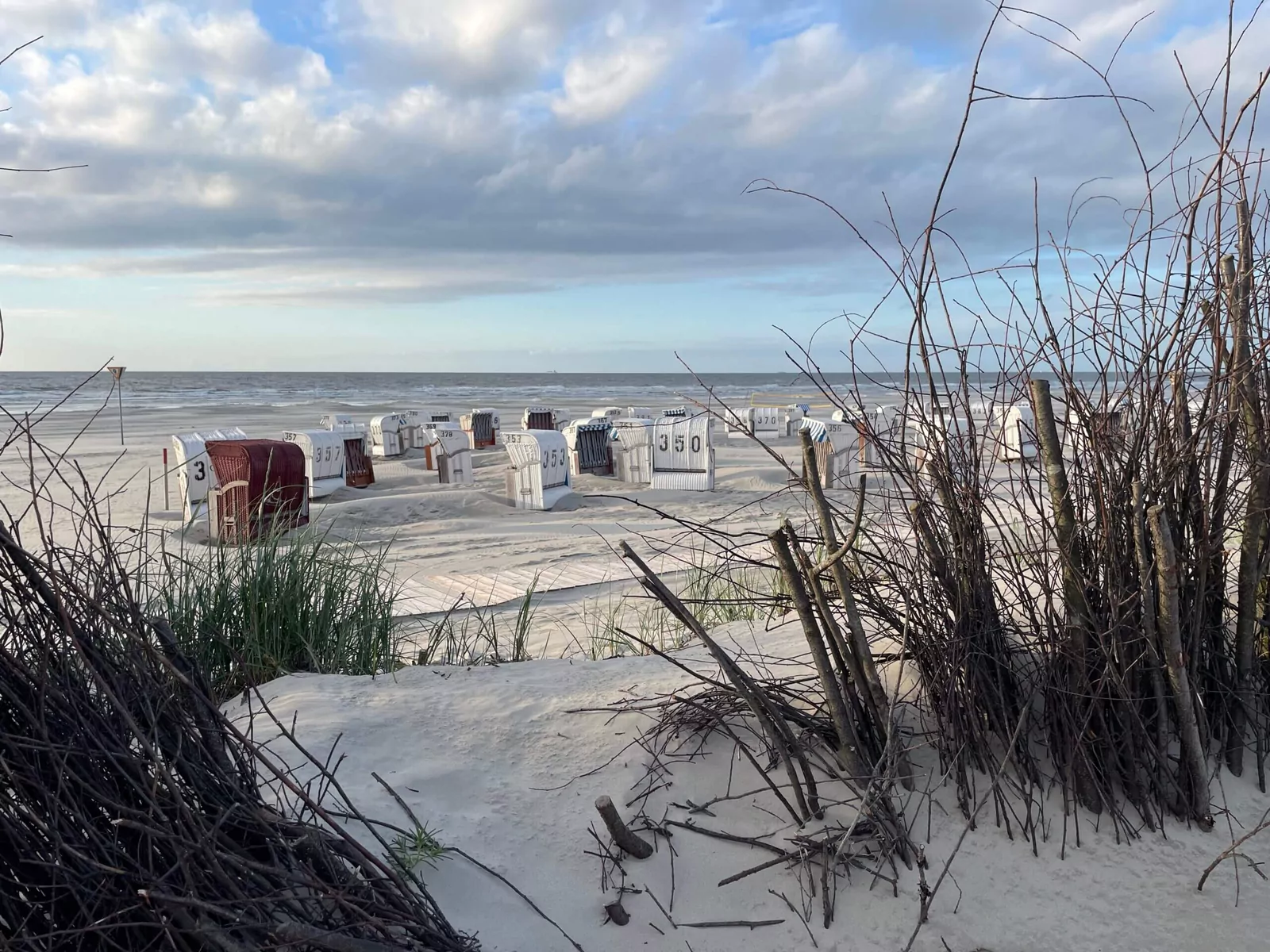 Strandkörbe an der Nordseeküste mit Dünen im Vordergrund